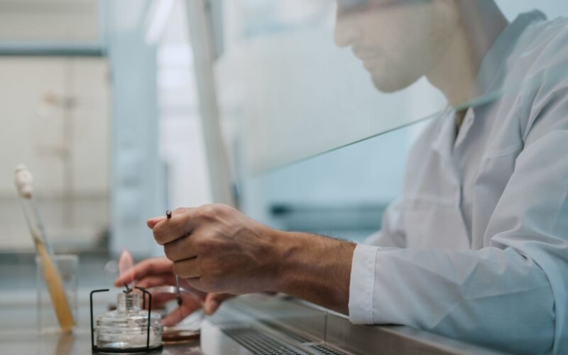 Research, Innovation and Sustainable Development